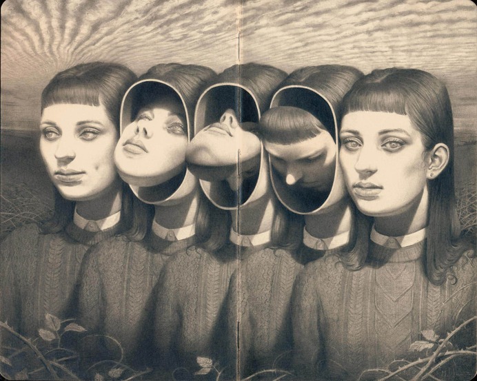 johnston retratos grafito metamorfosis caras