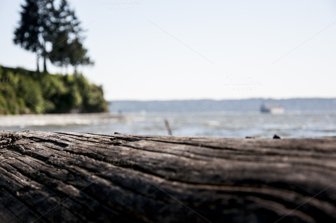 Woody Perspective ~ Nature Photos on Creative Market #field #perspective #depth #of #summer #beach #macro