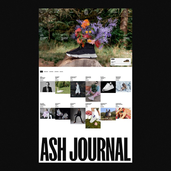 Photo by Numbered on December 19, 2022. May be an image of 6 people, flower and text.