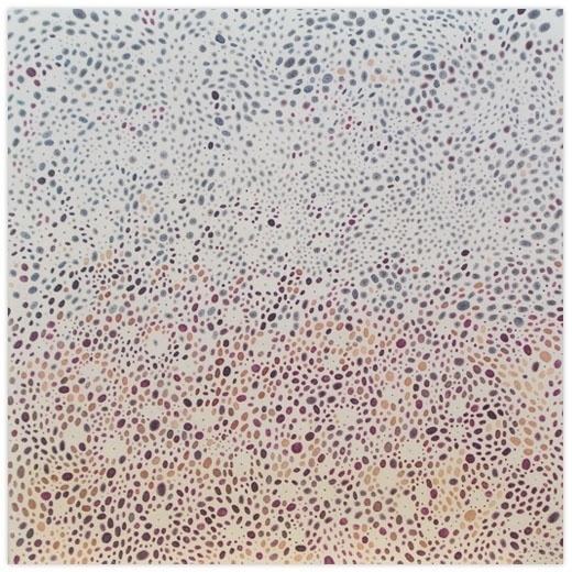Squid Skin / 2 #pattern #dots #squid #art #skin