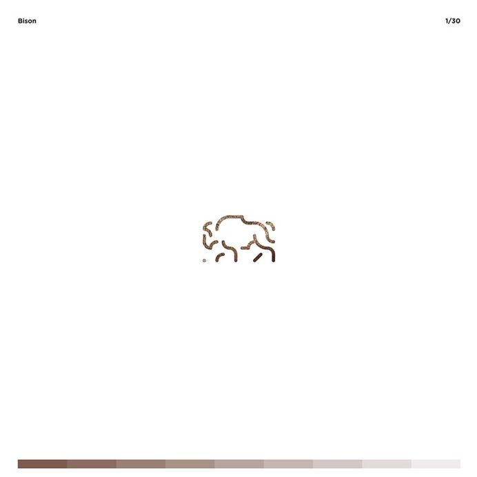 Bison on the grid / 30 Days With Animals ©