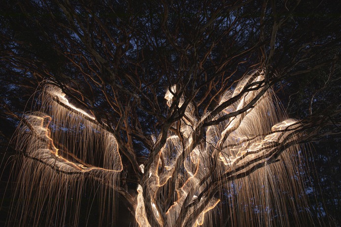 rayos de luz fotografiavitor schietti lux