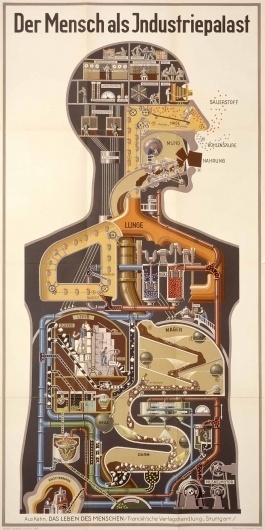 IV-A-01.jpg (1200×2392) #infographic #illustration