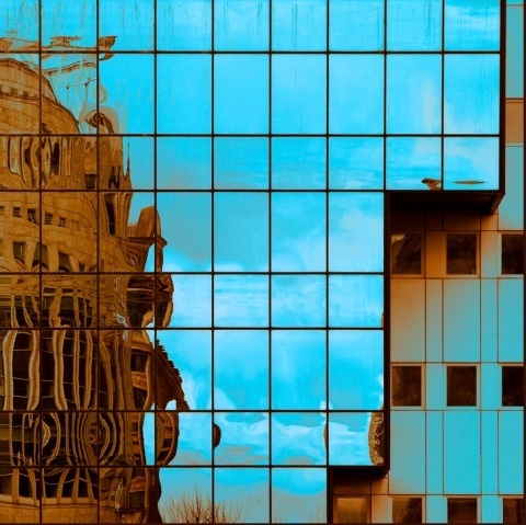 Barbera | PICDIT #photos #photo #color #design #photography #art