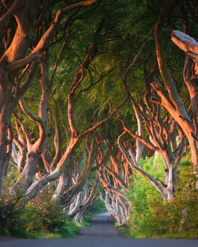 Fine Art Landscape Photography by Maksims Gavriluks