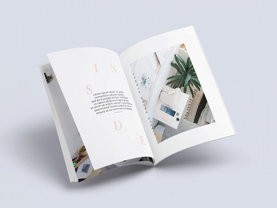 mag concept / chelsea lasalle #layout #magazine #type