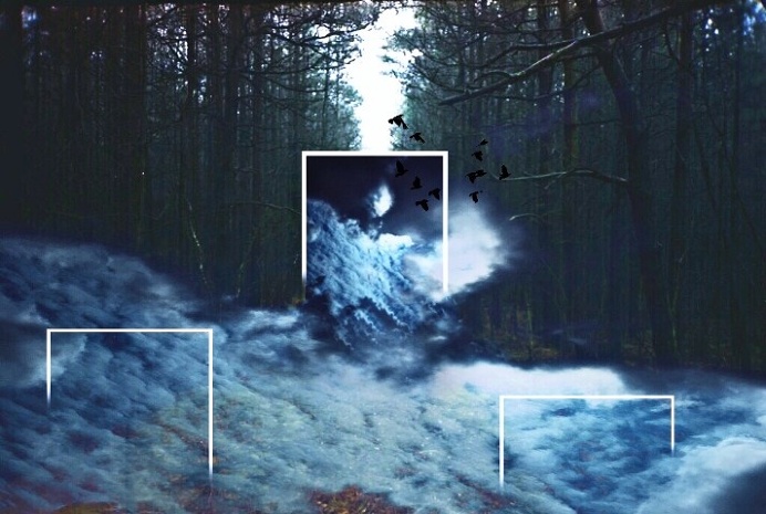 #Photo editor#Picture Editor#Collage Maker#Nature#outdoors#