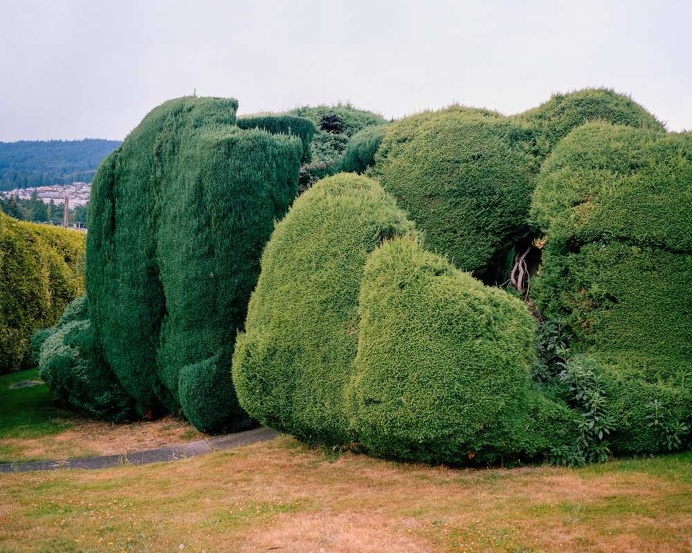 California Topiaries by Marc Alcock