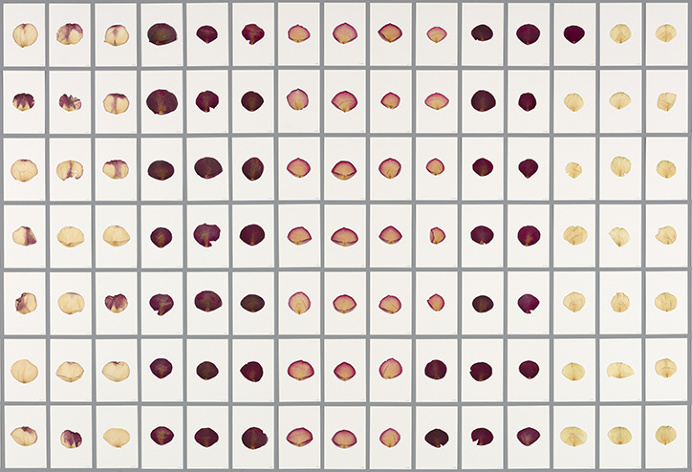 Sarah-meyohas-art-itsnicethat-11
