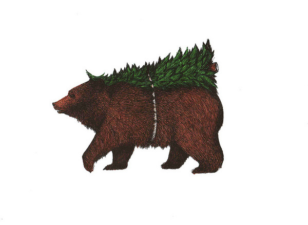 oso navidad #bear #illustration