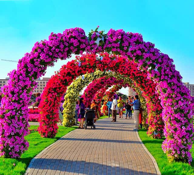 Floral arches are part of the Dubai Miracle Garden since the day 1 or their opening season. In between these floral arches were removed and brought back with new creativity. When it comes to the evolution and designing of the new designs the Dubai Miracle Garden is nothing short of options. Therefore; some of the amazing floral themes are even kept at bay within its upcoming seasons.