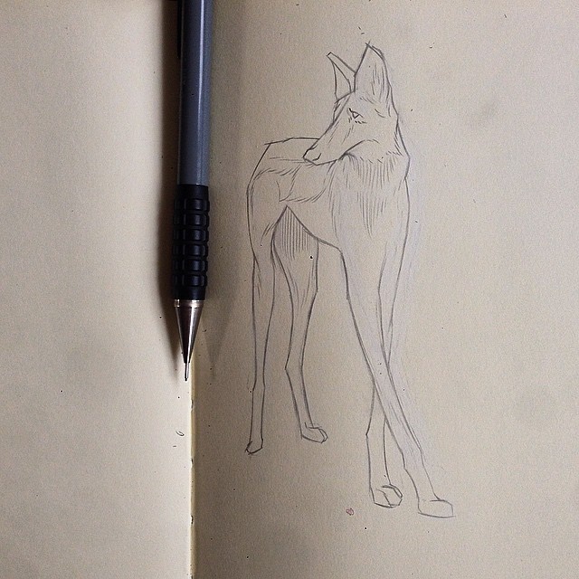 Pencil, Sketch, Illustration, Dog, Micheal Hanly