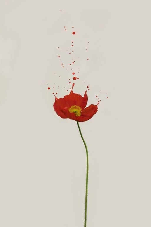 Brian Oldham | PICDIT #photo #photography #design