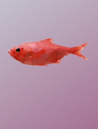Beetroot Design Group Blog #illustration #fish #animal #animals