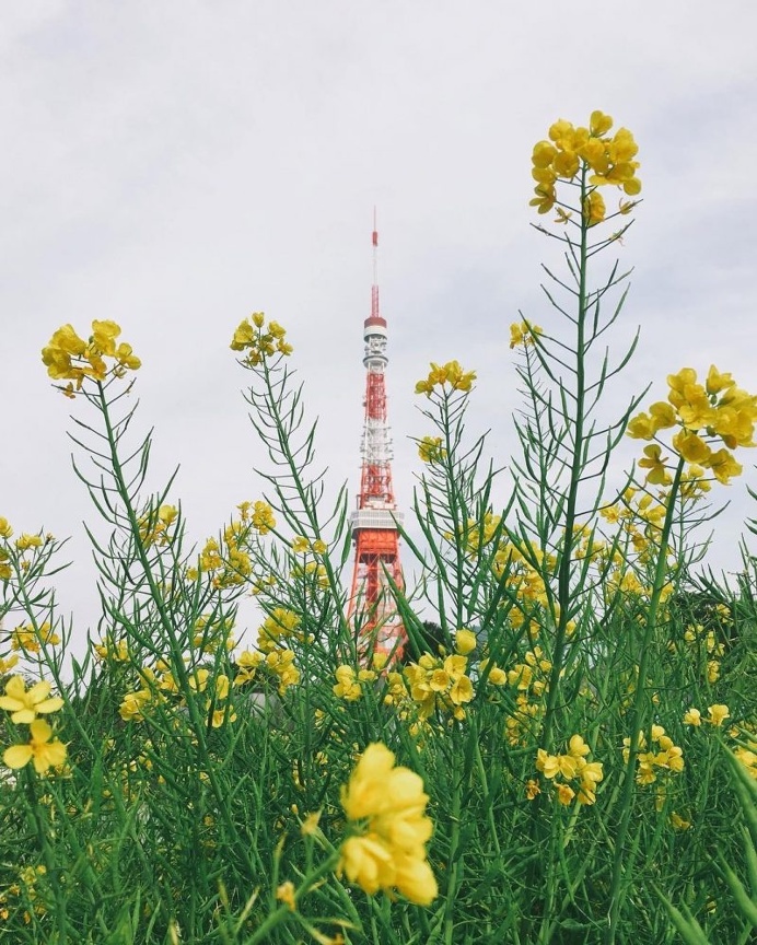 Beautiful iPhoneography by Ryoji Iwata
