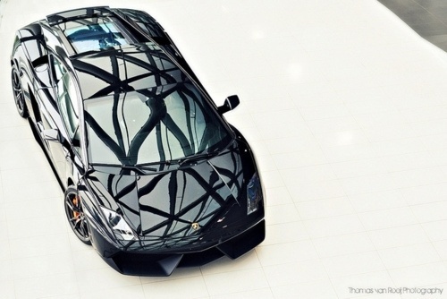 On Display #lamborghini #gallardo