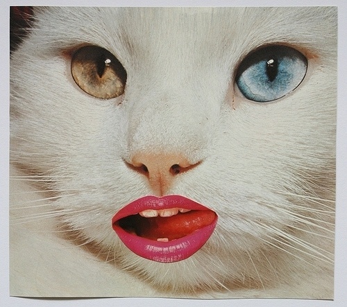 tumblr_lwfd578mDa1qzm3keo1_500.jpg (Imagem JPEG, 500x443 pixéis) #collage #art