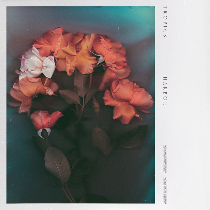 samuel burgess johnson, album, album art, album cover, roses