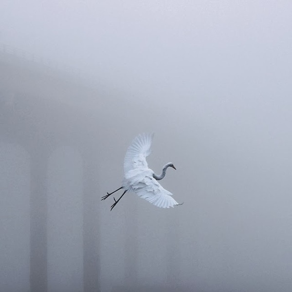 Instagram of John Cobalt #inspration #photography #art