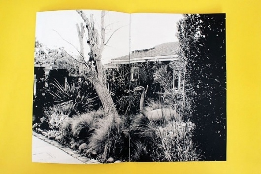 Every reform movement has a lunatic fringe #photo #print
