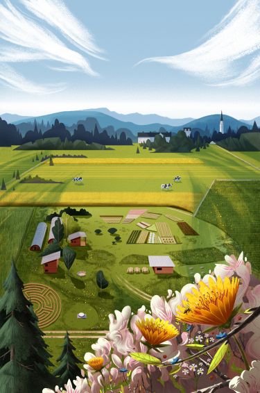 The Knoll Poster