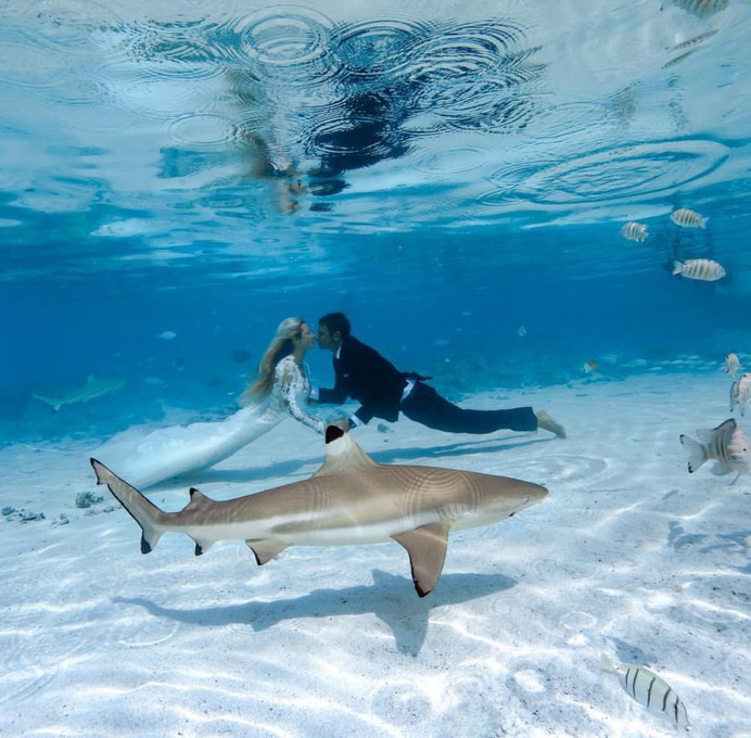 Incredible Underwater Photography by Juan Oliphant