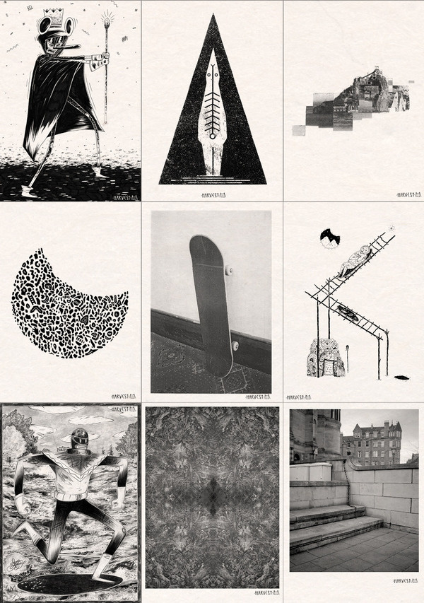 Harvest Skate Co. #illustration #poster #harvest