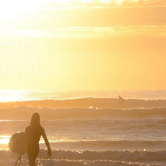 Statigram – Instagram webviewer #surfing #sunset #photography #instagram