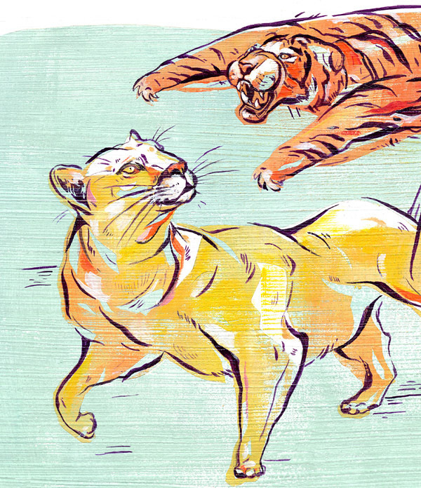 wilderness_JOakley_cougar_cls #lion #bold #illustration #cats #attack #tiger