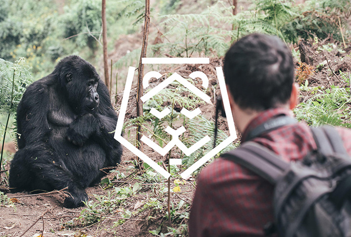 Faralong.com by Proxy #print #stationary #graphic #icon #photography #sign