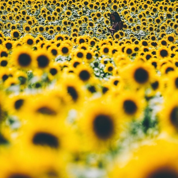 Stunning Instagrams by Aaron Pennington