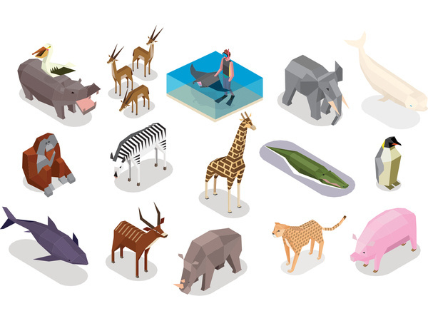 Rob Bailey | SeaWorld #illustration #zoo #drawing #animals