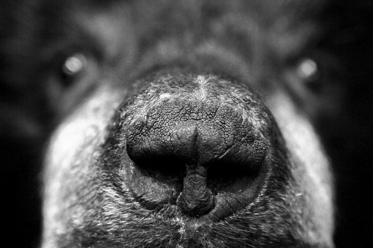 Photography - David Mcleod #photography