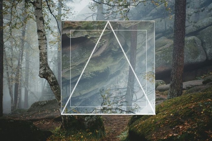 #photography#picture#triangle#shape#trees