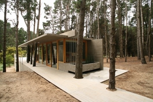 WANKEN - The Blog of Shelby White » The House Among Trees #argentina #wood #cement #architecture