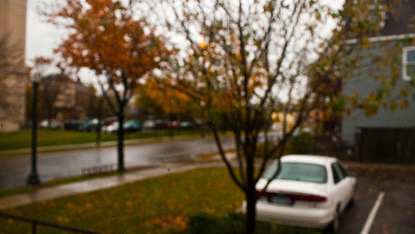 Autumn #photography
