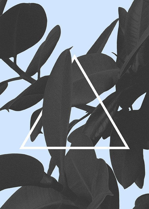 Foliage - Hanna Kastl-Lungberg