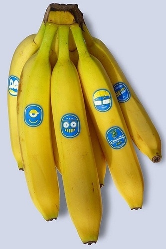 roc21.com | Flickr - Photo Sharing! #identity #stickers