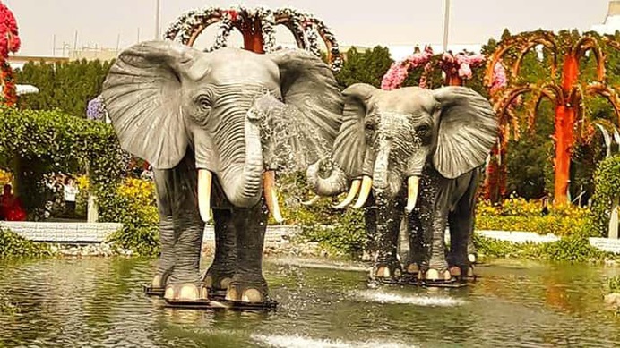Elephant Fountains on display at Dubai Miracle Garden. These large fountains look really amazing at the water pool of the Dubai Miracle Garden.