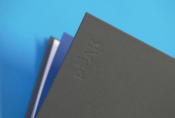 Peak by Proxy #colourful #logo #graphic design #embossed