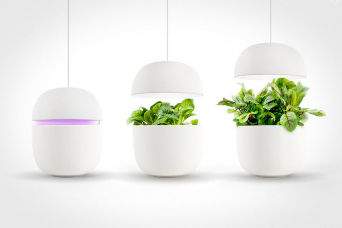 Plantui is a smart garden that self-waters and regulates the growth of your greens.