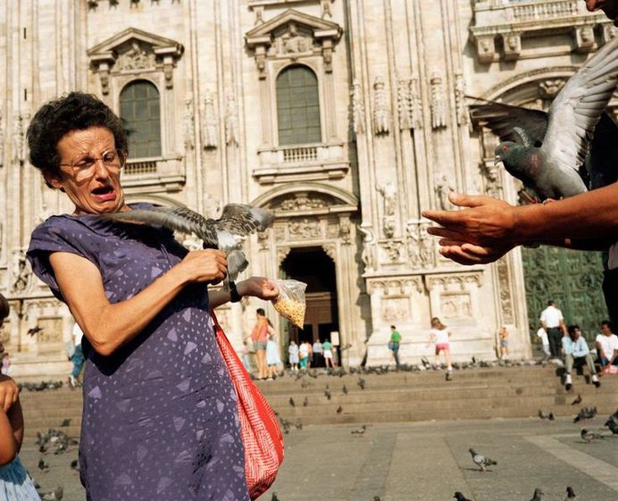 9b3d27a8e2620bc5e74681545e95f2e7--martin-parr-martin-omalley.jpg (736×597)