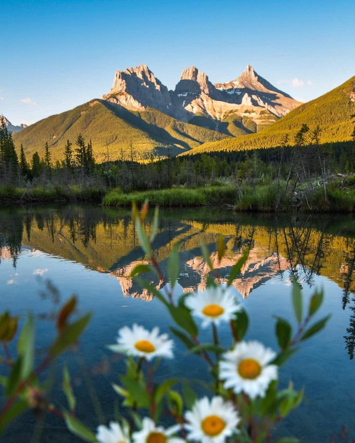 Stunning Reflected Landscapes Capture The Beauty of Alberta
