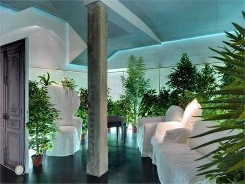 jungle leaving room #margiela #jungle