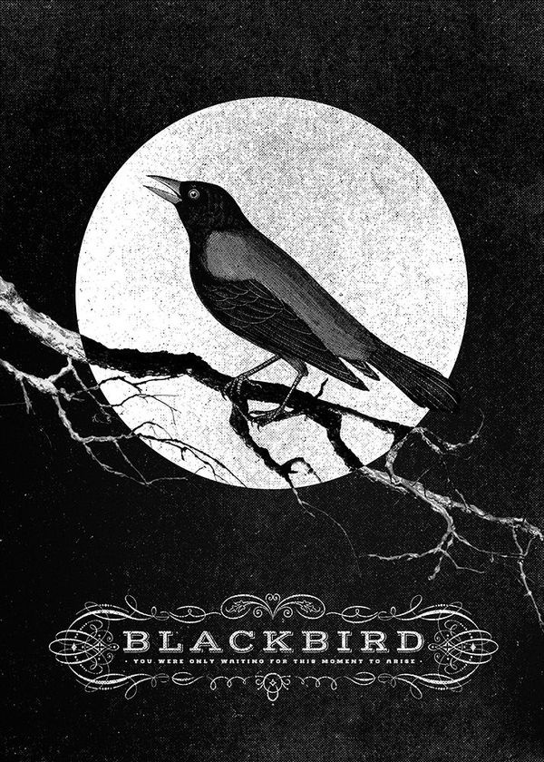 blackbird | totlanit.co #b&w #texture #illustration #poster #collage