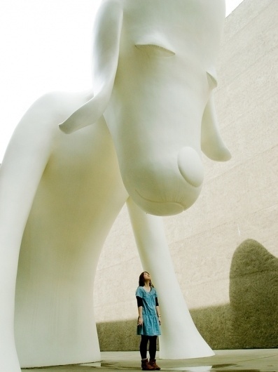 portfolio #photography #girl #people