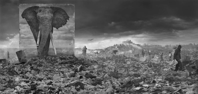 Africa's Lost Animal Habitats by Nick Brandt