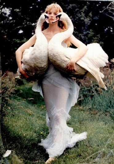 Sara Lindholm #fashion #swans