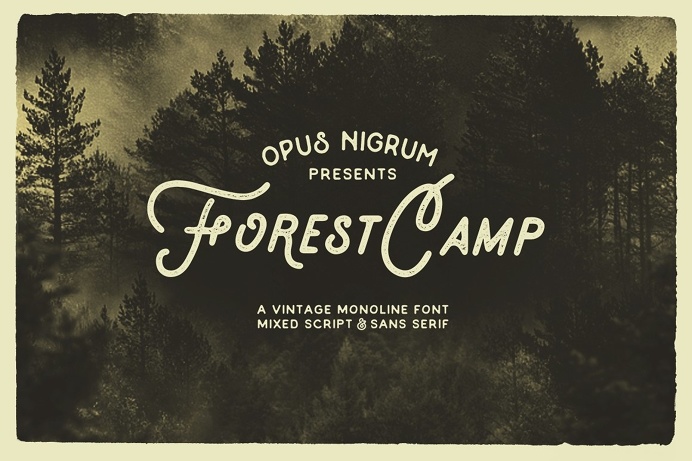 Forest Camp Font Free Vector Pack
