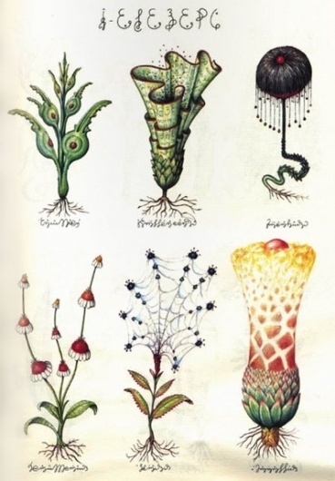 tumblr_llpogsyk531qdui5no1_400.jpg 400 × 574 pixels #plants #typography